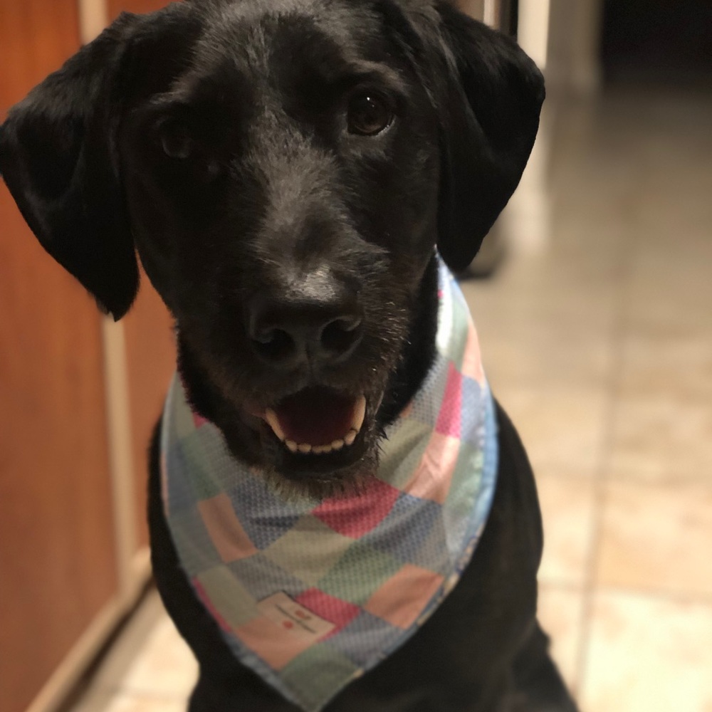 Meet Me, Diane!